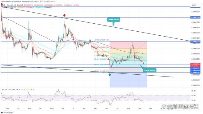 shib最新走势(shib今日价格走势图)