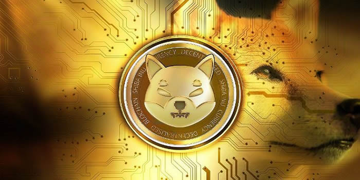 shib交易(shib交易所)