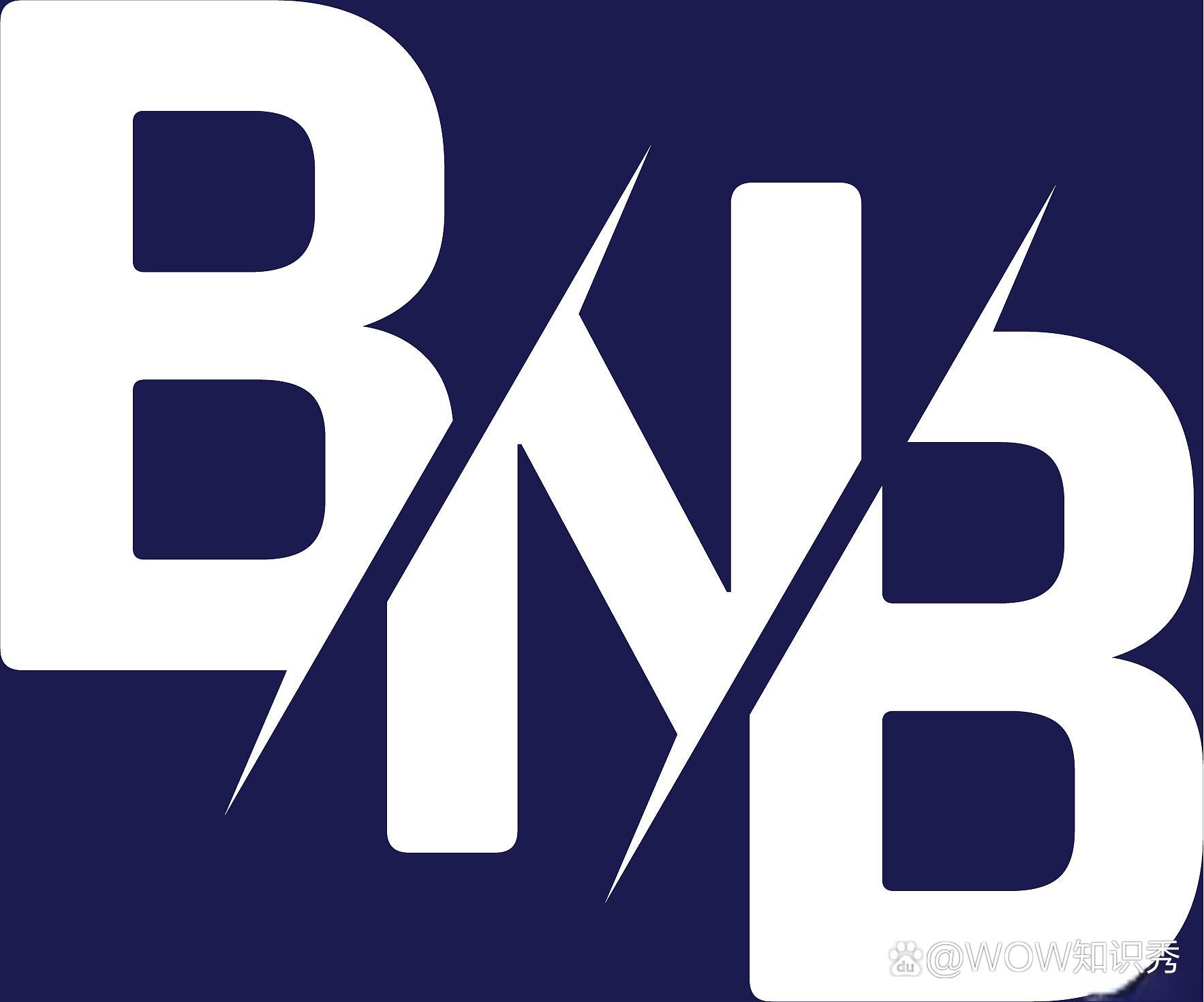 bnb是什么币(bnb一个值多少人民币)