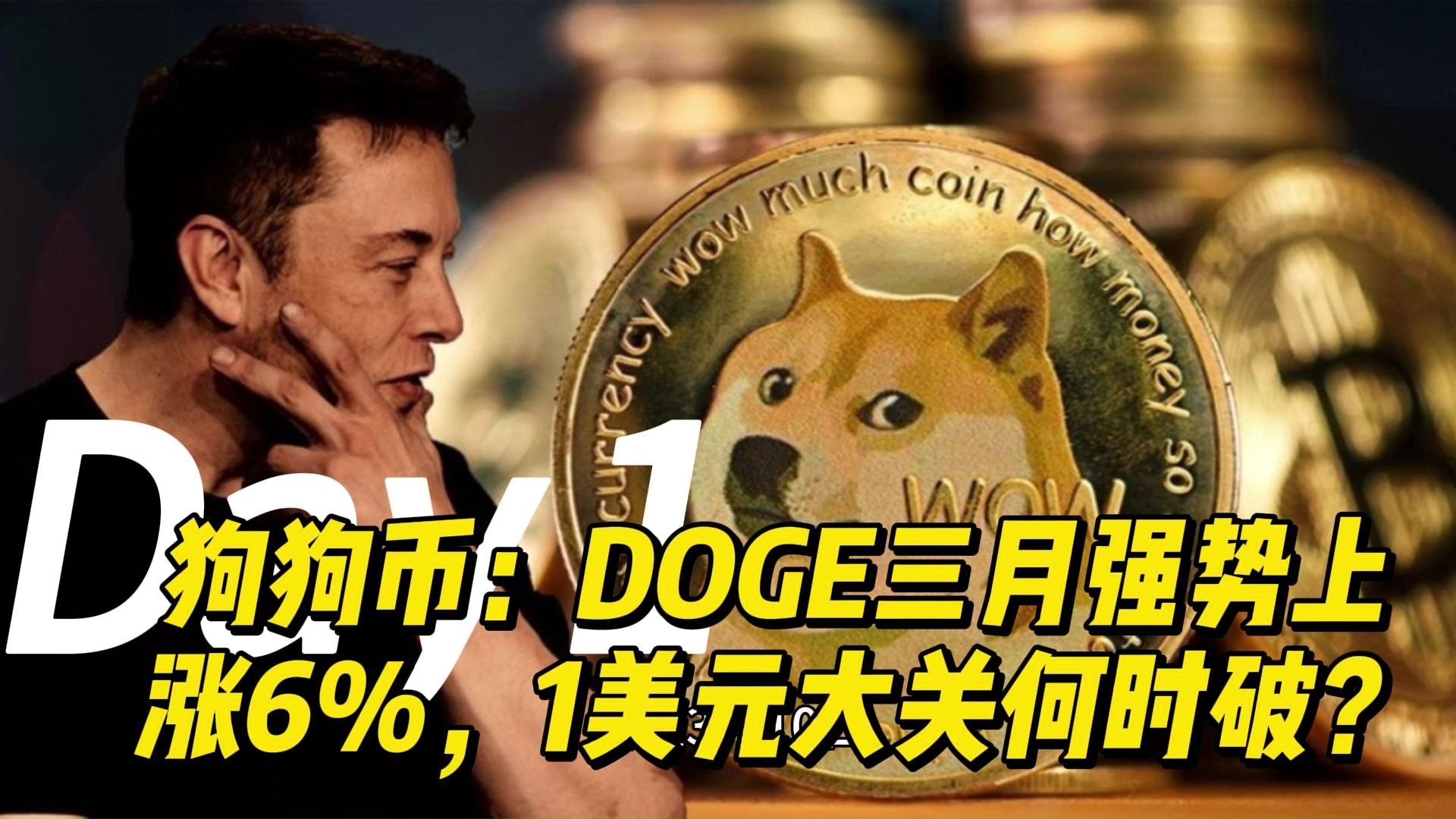 doge价格行情(dogecoin价格今日行情)