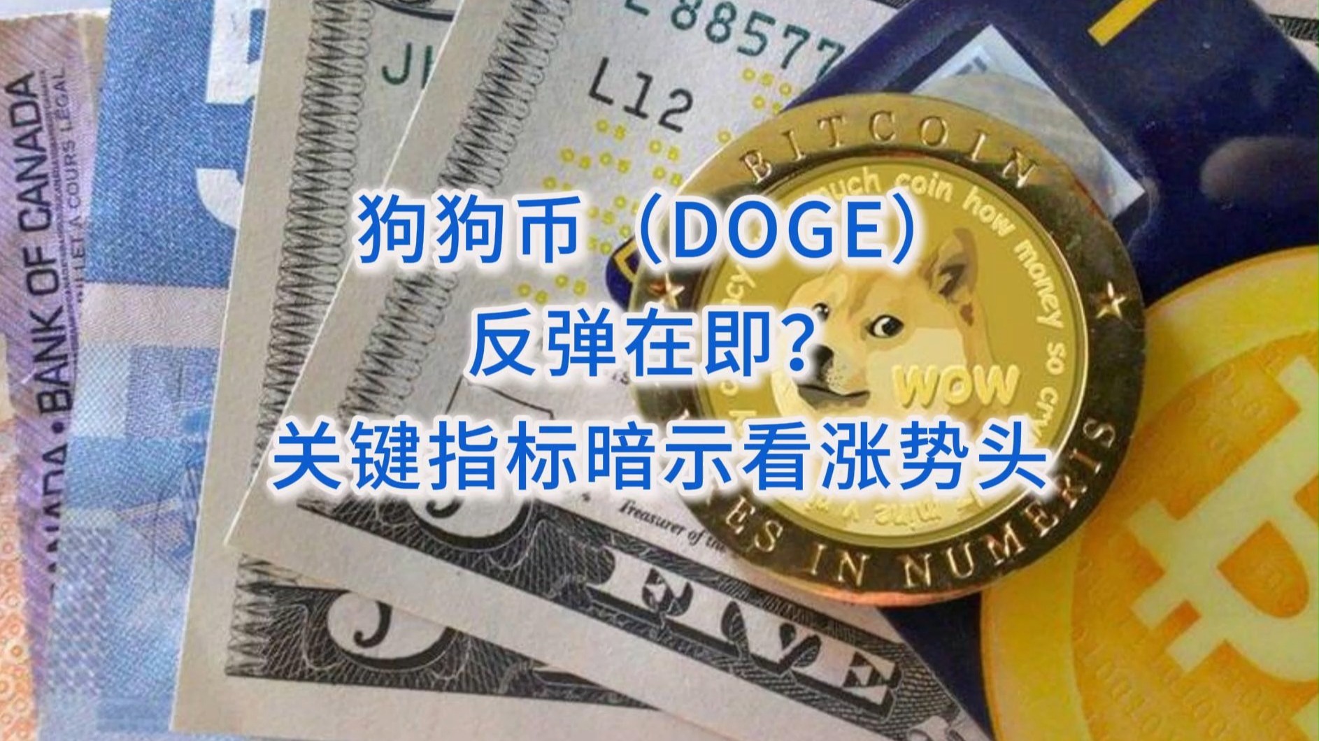 doge是什么币(doge是什么币创始人) doge是什么币(doge是什么币创始人)