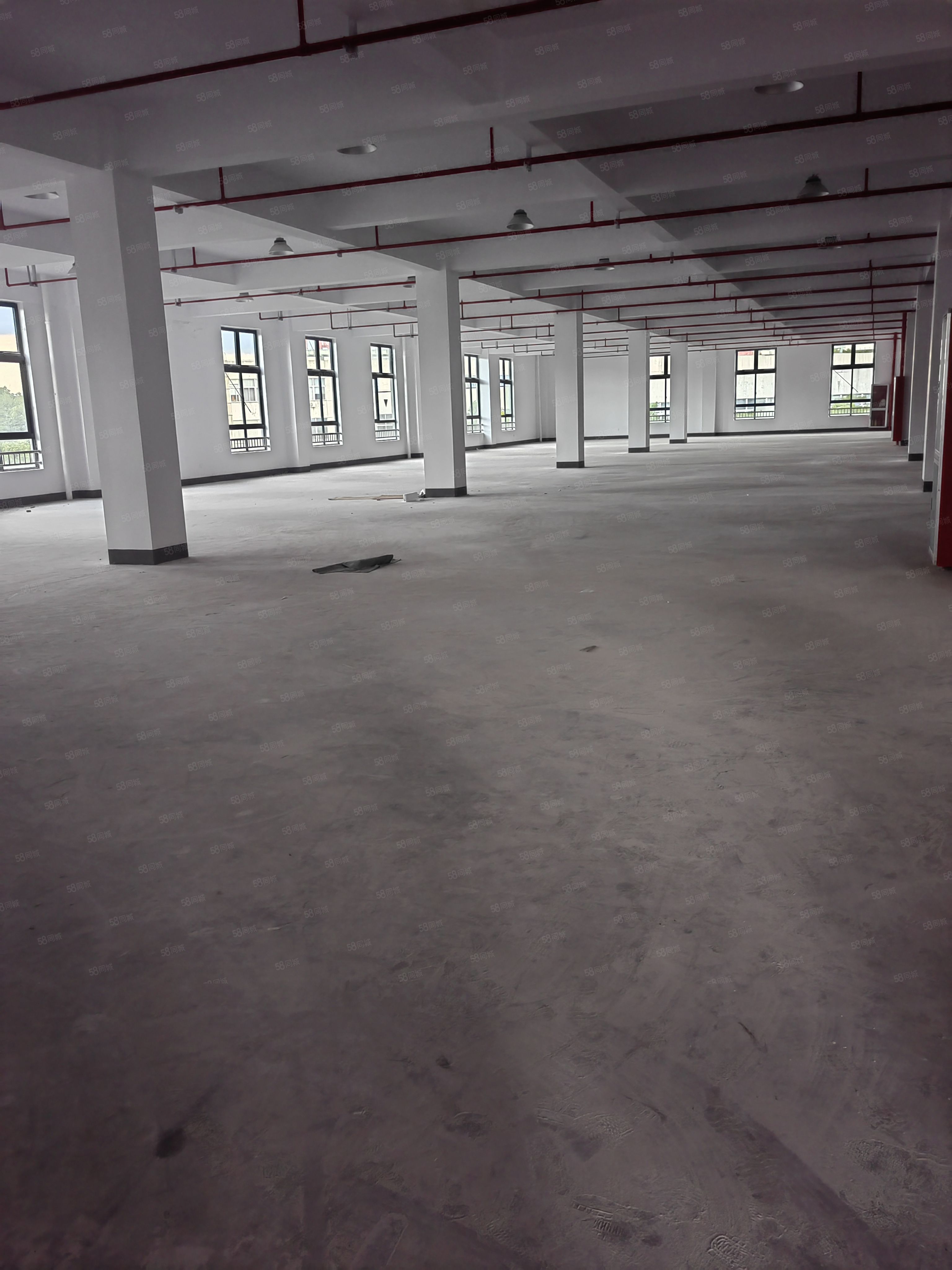 骆驼哪里有房屋租赁(骆驼房屋出租二室一厅)