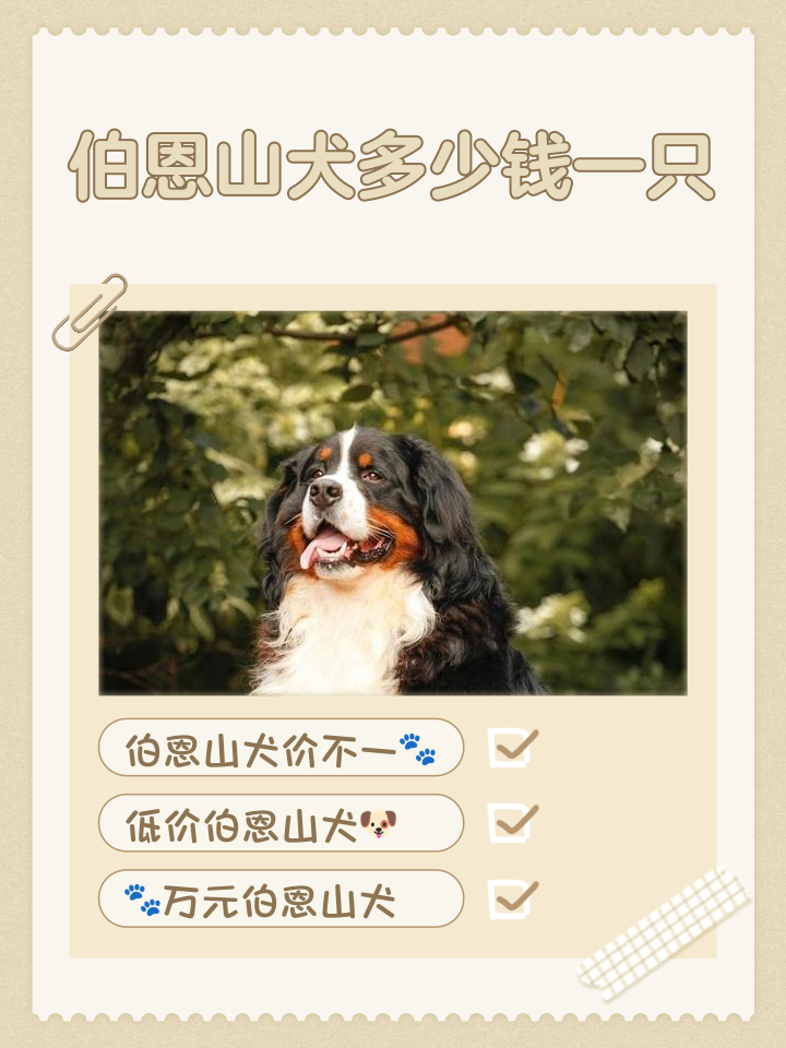 doge价格(doge价格今日行情)